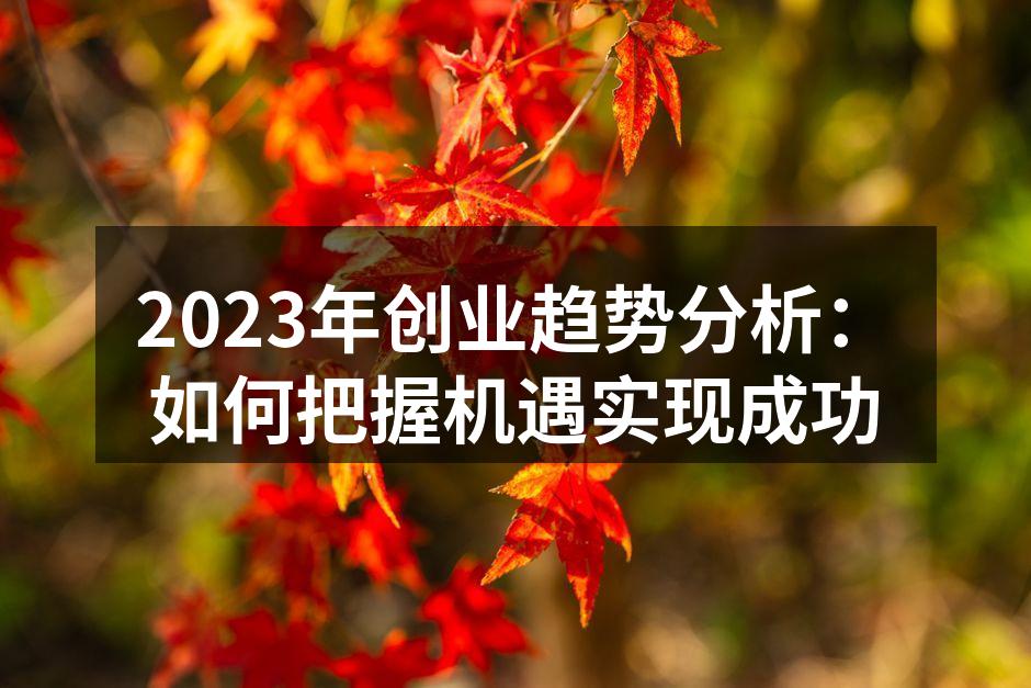 2023年创业趋势分析：如何把握机遇实现成功
