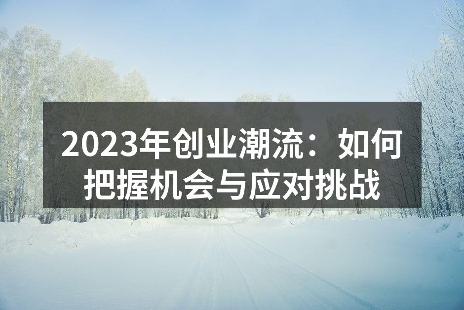 2023年创业潮流：如何把握机会与应对挑战